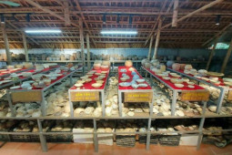 Tin tức trong ngày - Người lưu giữ hơn 5 vạn cổ vật siêu độc ở xứ Thanh