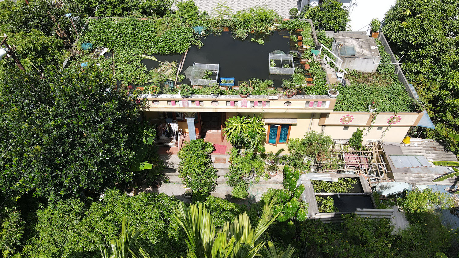 Làm ao trên nóc nhà, một mô hình rất độc – lạ và táo bạo của ông Tuấn