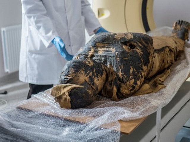 ”Bí ẩn kép” xác ướp mang thai trong quan tài nam tu sĩ Ai Cập