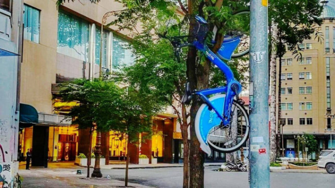 Chiếc xe đạp công cộng bị treo lên cây.