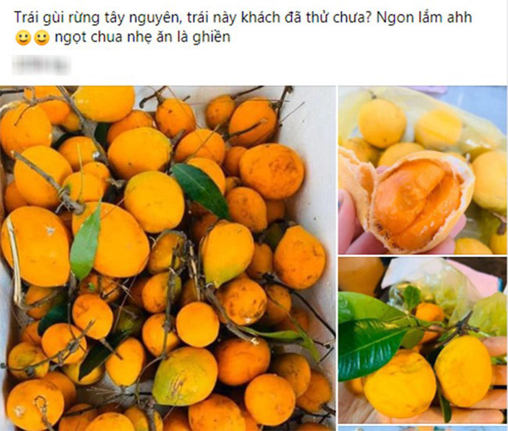 Trên chợ mạng, trái gùi được rao bán với giá lên tới 210.000 đồng/kg.&nbsp;
