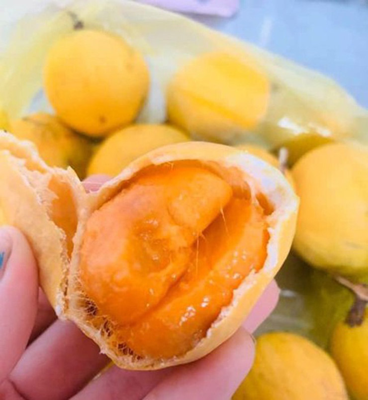 Khi còn non, trái gùi có màu xanh, sọc trắng nhạt, lúc đó nó có nhiều nhựa và chát, đắng, không ăn được. Đến khi quả chín, vỏ màu vàng, mỏng, bẻ ra phần ruột bên trong có những múi như múi mít.&nbsp;
