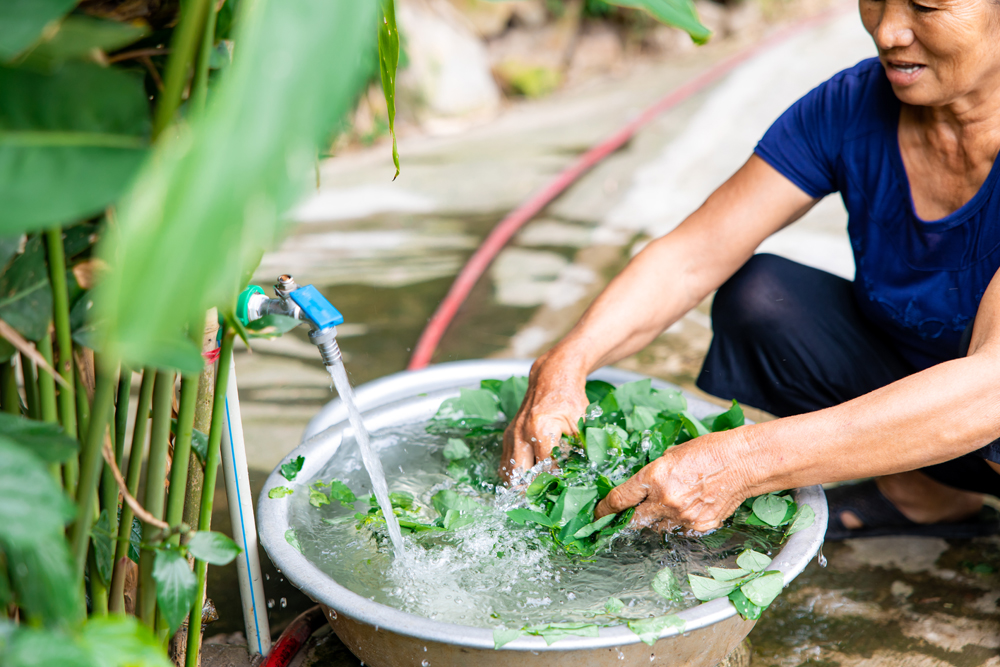 Cùng Quang Linh Vlogs tham gia thử thách trân trọng nguồn nước sạch - 4