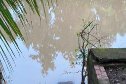 Tin tức trong ngày - 2 bé trai 5 tuổi ở Vĩnh Long đuối nước thương tâm