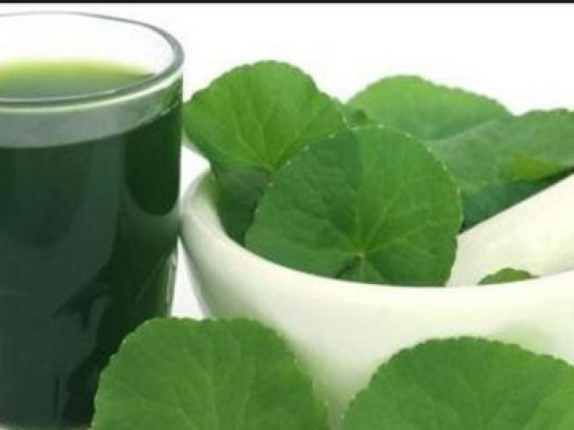 Ẩm thực - Thứ rau dại được ví như "sâm xanh" giúp dưỡng gan thận cực tốt, nhưng không phải ai cũng dùng được