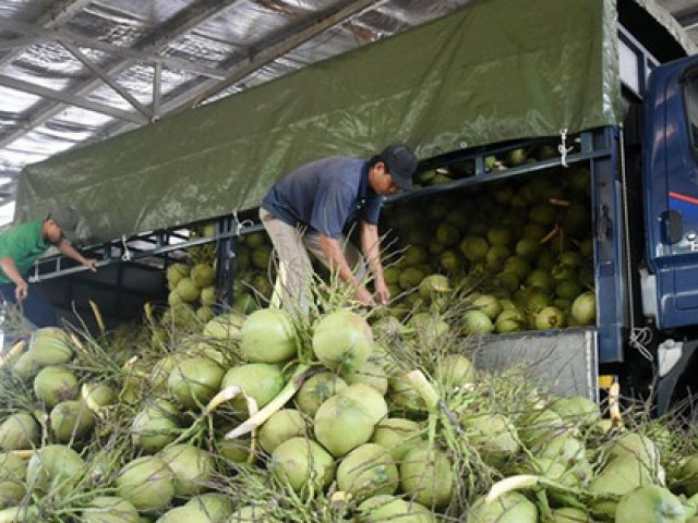 Xuất khẩu rau quả sang Trung Quốc: Nguy cơ ''tắc'' đến hết năm