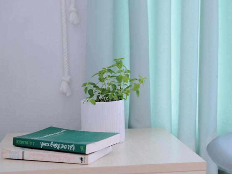 Chỉ 10 triệu đồng, 8x Hà Nội lột xác cho ngôi nhà thành tổ ấm tối giản, tươi mát