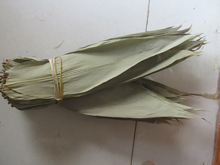 Trước đây, người ta dùng thân tre để làm hàng rào, làm nhà, làm bếp, làm lạt gói bánh, còn lá sẽ bỏ đi, rụng đầy gốc. Giờ đây, các thương lái thu gom lá tre xuất khẩu sang Đài Loan với giá 10.000 đồng/kg lá tre tươi và 40.000 đồng/kg lá tre khô.
