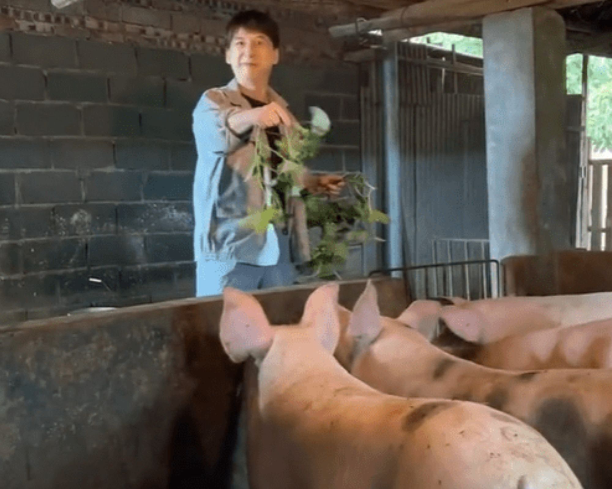 Phiên bản Tôn Ngộ Không xấu nhất màn ảnh, gần 60 tuổi lại về quê chăn lợn thế này - 3