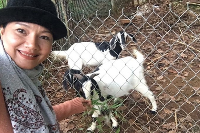 Choáng ngợp với nhà vườn 5.000m2 của diễn viên Kiều Trinh - 12