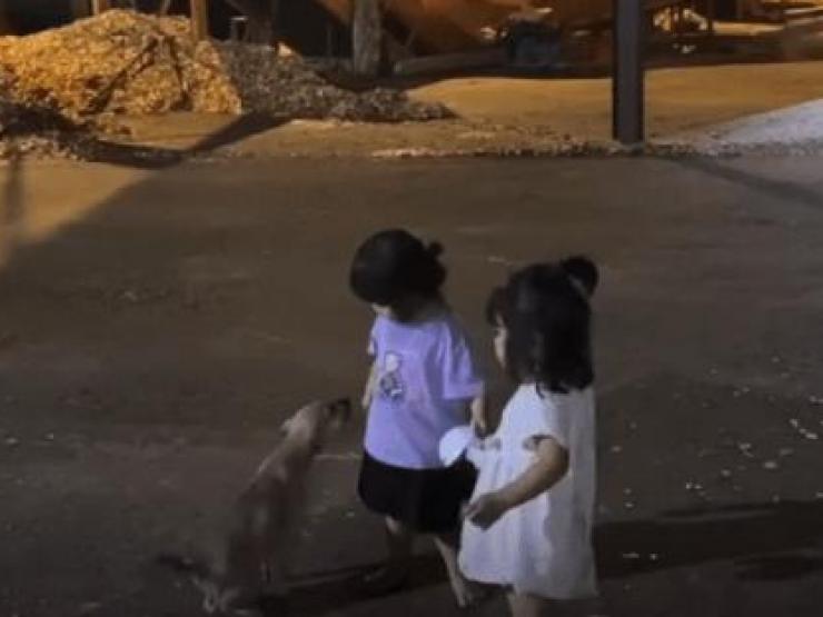 Bạn trẻ - Cuộc sống - Thấy bạn bị chó tấn công, bé gái lập tức ra tay trừng trị khiến con vật quỳ rạp