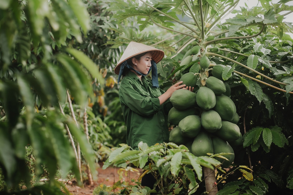 Thuận Thiên - Nam dược trị nam nhân
