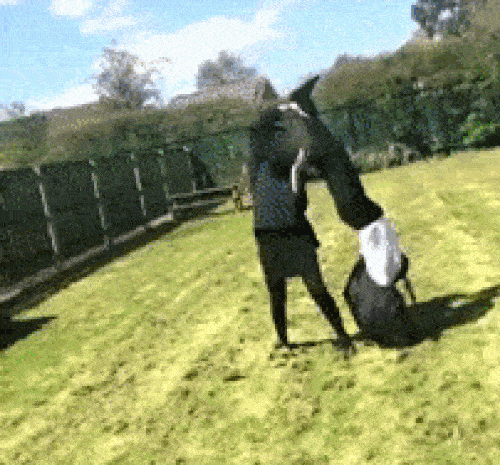 Khi các chị em vụng về thích thể hiện và cái kết khiến bao người bật cười - 3