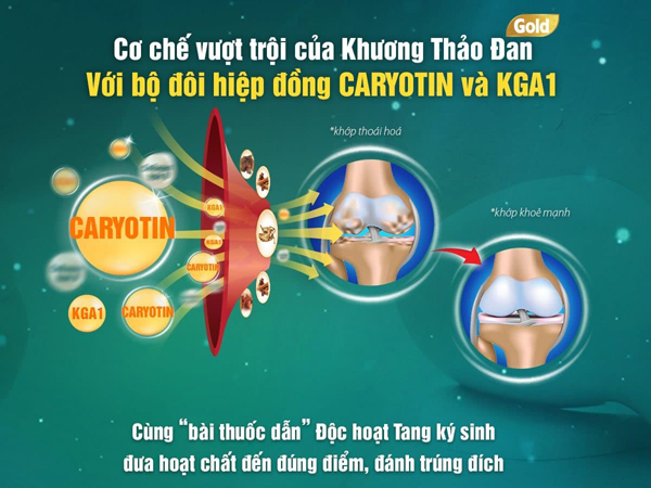 Viên xương khớp Khương Thảo Đan ra mắt phiên bản mới tốt hơn - Khương Thảo Đan Gold - 2