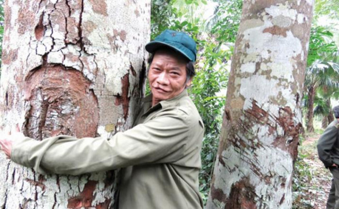 Năm nay 72 tuổi, ông Trương Quốc Đô chỉ mong muốn có sức khỏe để bảo vệ cánh rừng Cồn Lim cho thế hệ mai sau