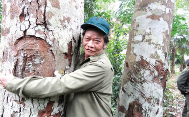 Chuyện ông “mãnh hổ” giữ rừng lim - 1