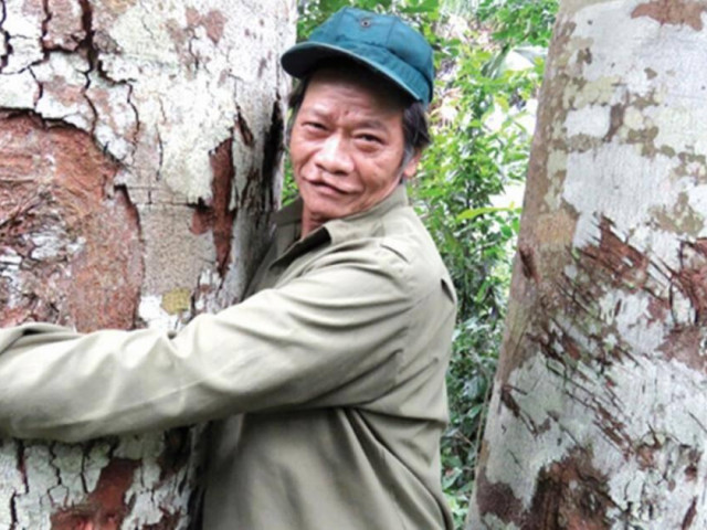 Tin tức trong ngày - Chuyện ông “mãnh hổ” giữ rừng lim