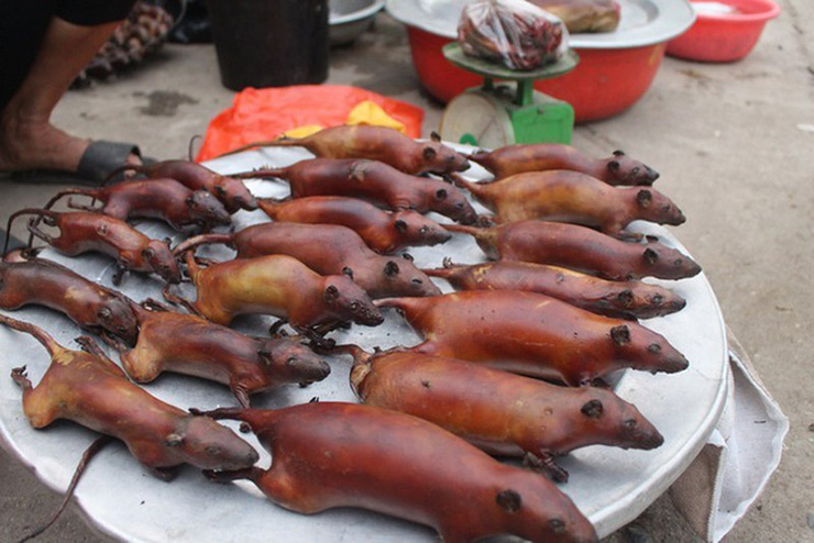 Trên thị trường, thịt chuột có giá khoảng 90.000 đồng/kg, nếu vào mùa khan hiếm giá có thể lên tới 120.000 đồng/kg
