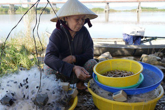 Săn cá &#34;quý&#34; trên sông Trà - 3