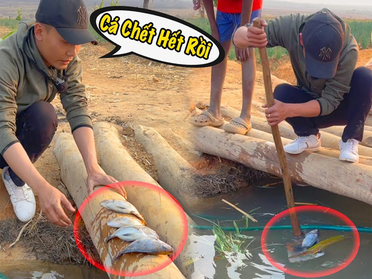 Xây cơ ngơi lớn hàng tỷ đồng, Quang Linh Vlogs bất ngờ gặp “biến”