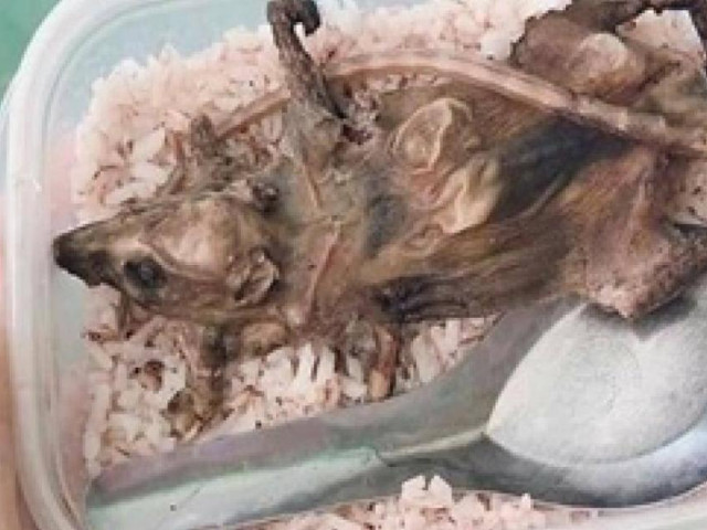 Thực hư thông tin HS huyện miền núi Quảng Nam chỉ ăn cơm với thịt chuột?