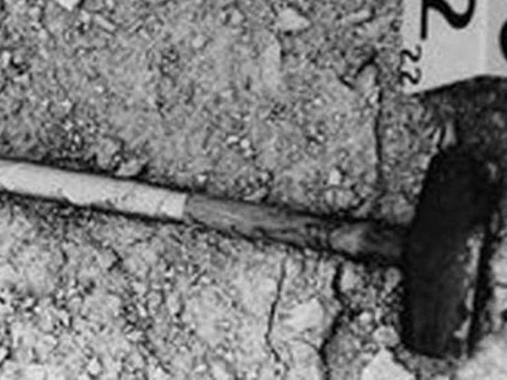 Pháp luật - Bi kịch của mẹ đơn thân sau khi đi bar: Xác chết trong bụi cây