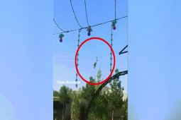 Thế giới - Video: Taliban huấn luyện bay trực thăng Mỹ Black Hawk, nhiều người thương vong