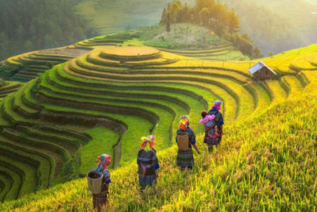 Du lịch Sapa vào mùa đẹp nhất trong năm