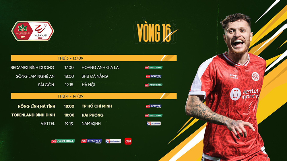 V-League vòng 16: Tâm điểm Bình Định tiếp Hải Phòng - 2