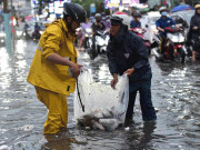 Tin tức trong ngày - TP.HCM: Đường ngập sâu, kẹt xe không lối thoát sau trận mưa như trút nước
