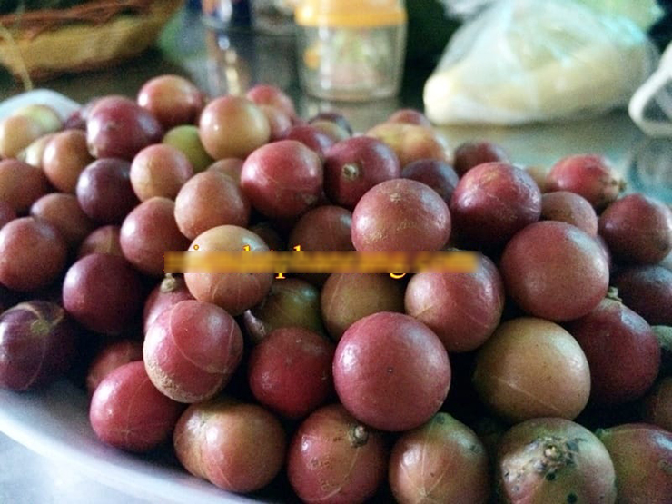Bởi có mùi vị đặc trưng nên quả da đá không chỉ là một loại quả bình thường mà còn có tác dụng khử mùi hiệu quả
