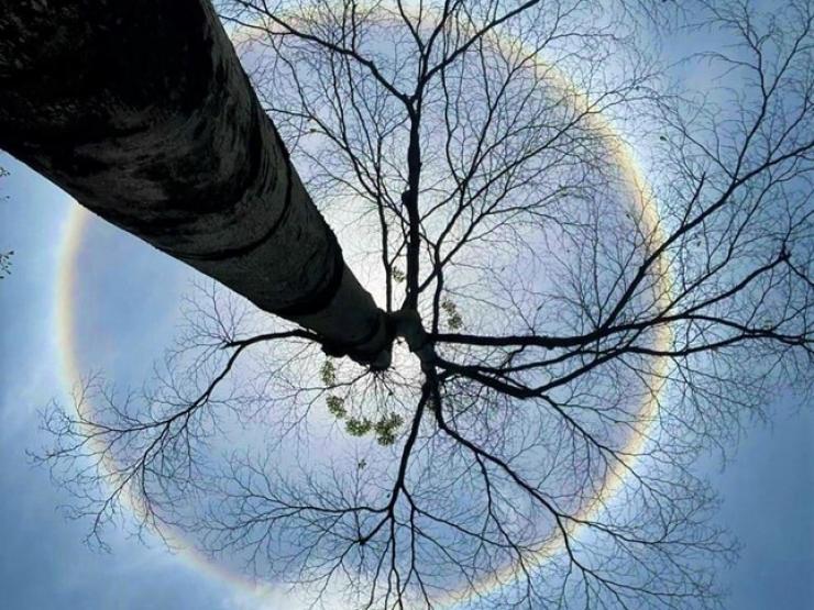 Tin tức trong ngày - Mặt trời "lạ" xuất hiện trên bầu trời Móng Cái