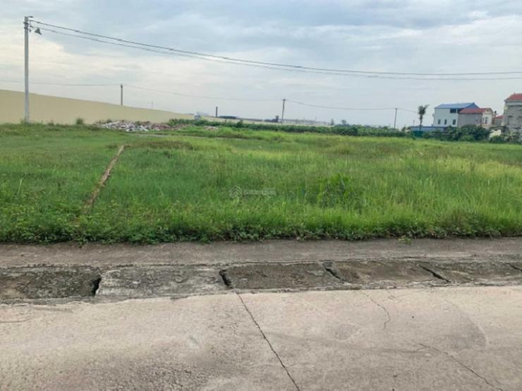 Kinh doanh - Giá đất nền vẫn tăng cao, “trend” cắt lỗ xuất hiện: Nhà đầu tư dễ sập bẫy
