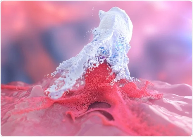 LPS giúp tăng “sức ăn” của Đại thực bào Macrophage lên gấp nhiều lần, tăng sức mạnh Đại thực bào