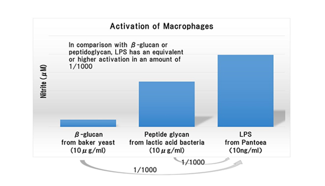 Nguồn: https://www.macrophi.co.jp/english/lps/1-1.html