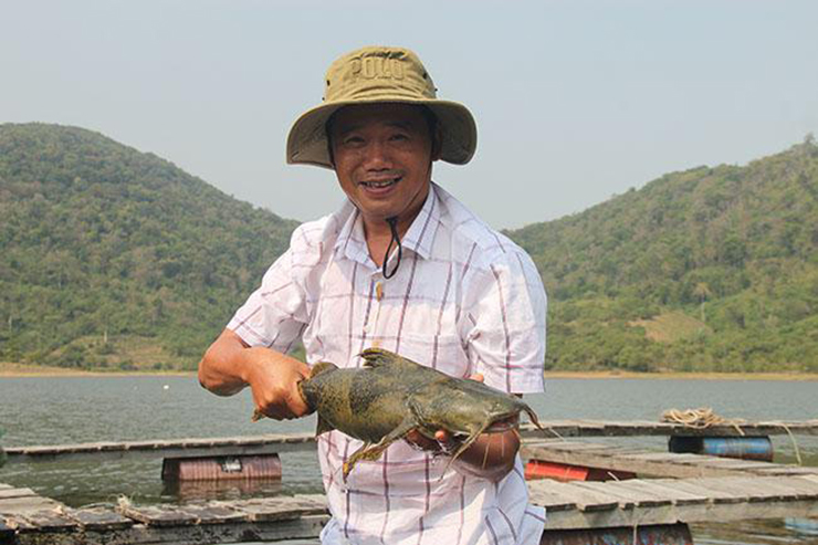 Trước đây, những con cá chiên trong tự nhiên có kích thước &#34;khủng&#34;, có những con nặng 20-30kg
