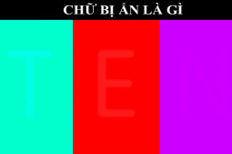 Giáo dục - du học - Tinh mắt lắm mới nhìn thấy điểm khác biệt trong những bức ảnh này