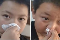 Bạn trẻ - Cuộc sống - Bé trai nói bị dị ứng với mùi bài tập về nhà khiến cộng đồng mạng bật cười