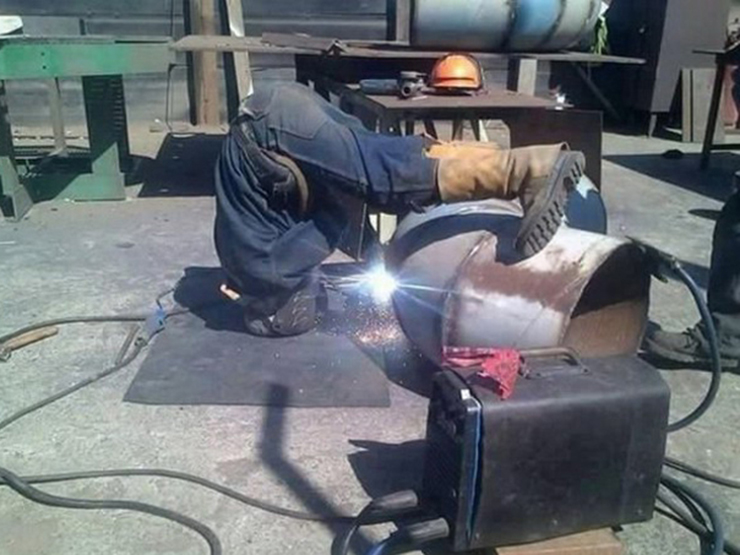 Tranh vui - Khoảnh khắc hài hước khó tin khiến bao người "cười không ngậm được mồm"