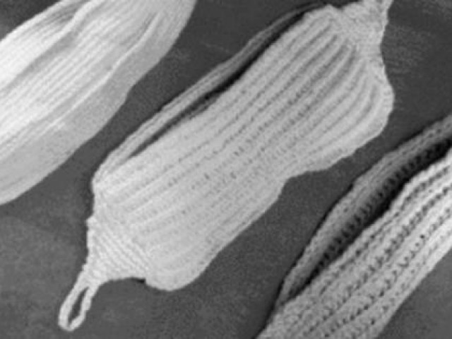 Sức khỏe đời sống - Có thể bạn chưa biết: Lịch sử phát triển hàng nghìn năm của... băng vệ sinh