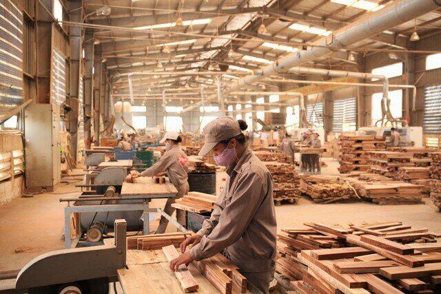 Tình hình xuất khẩu sụt giảm đơn hàng tới 50%, dẫn đến nhiều DN ngành gỗ đang trong tình trạng chỉ làm 50% công suất