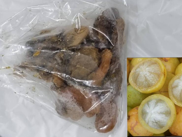 Sức khỏe đời sống - Ăn quả không bỏ hạt, người phụ nữ thủng ruột 