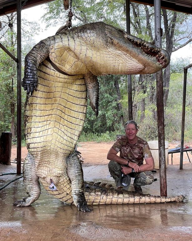 Shot dead a giant crocodile 4.5 meters long, weighing 450kg controversial in Zimbabwe - 1