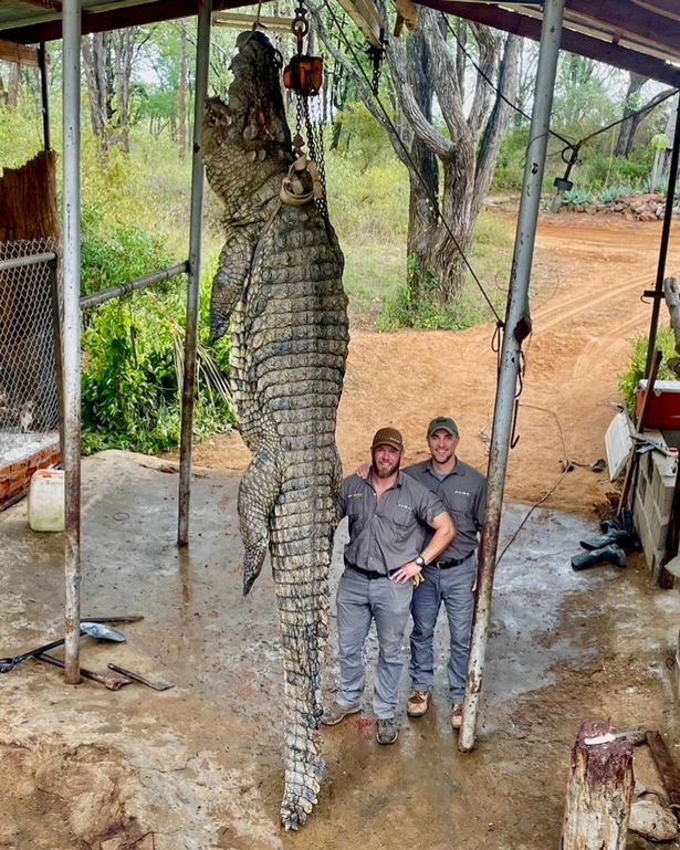 Shot dead a giant crocodile 4.5 meters long, weighing 450kg controversial in Zimbabwe - 2