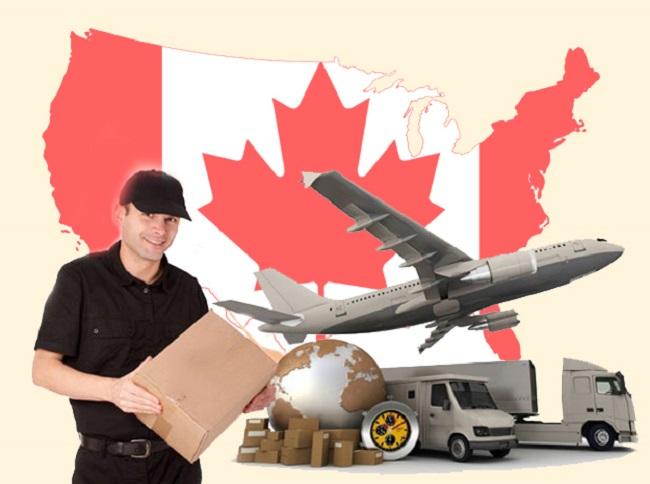 Long Hưng Phát đơn vị gửi hàng đi Canada uy tín tại TPHCM - 3
