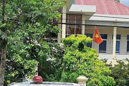 Tin tức trong ngày - 3 cán bộ Cục Quản lý thị trường Bình Thuận bị bắt