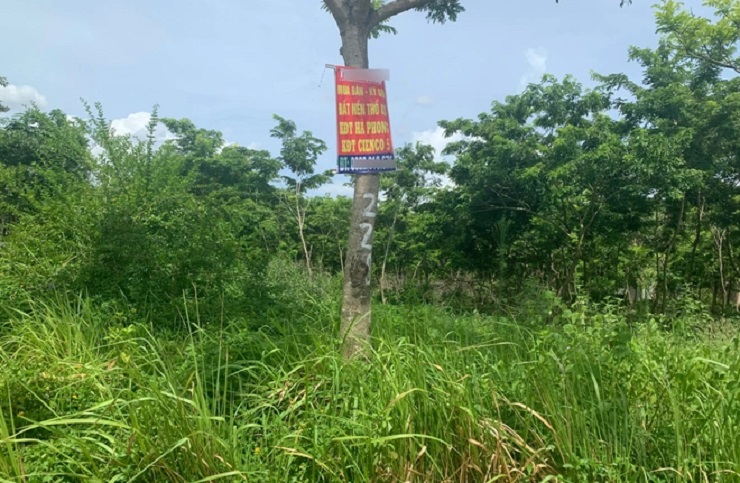 Hàng trăm ha đất dự án tại huyện Mê Linh, Hà Nội&nbsp;chỉ để "nuôi cỏ" hàng chục năm qua