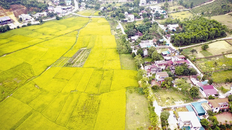 14 dự án thuộc 4 quận huyện Hà Nội bị thu hồi do chậm triển khai - 4