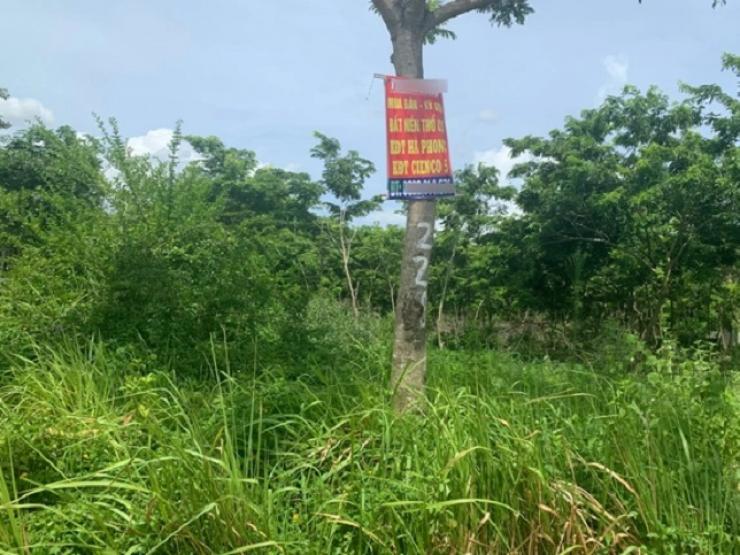 Kinh doanh - 14 dự án thuộc 4 quận huyện Hà Nội bị thu hồi do chậm triển khai