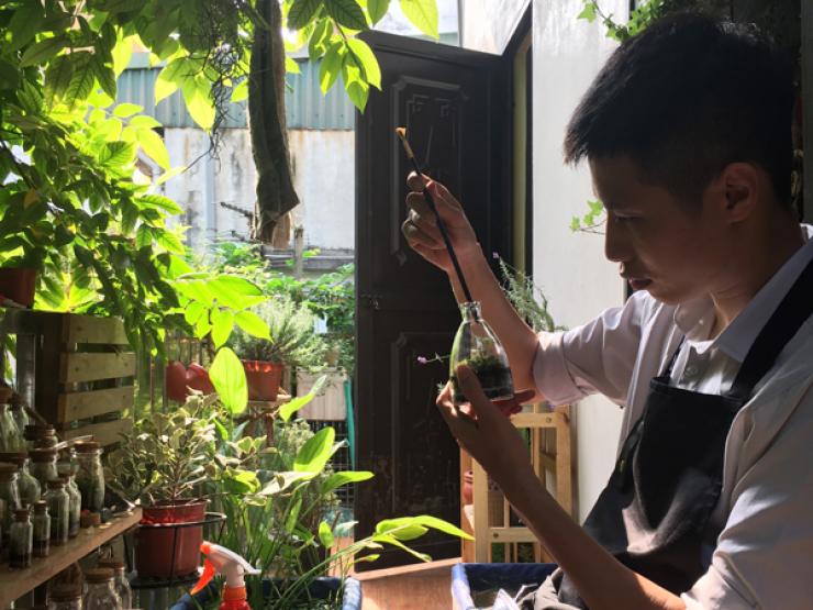 Thị trường - Tiêu dùng - 9x nghỉ việc về trồng cây trong bình thủy tinh, bán hàng trăm nghìn đồng/sản phẩm